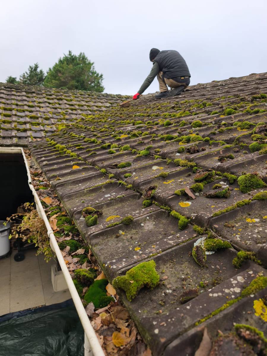 Nettoyage manuel pour évacuer les mousses sur la toiture