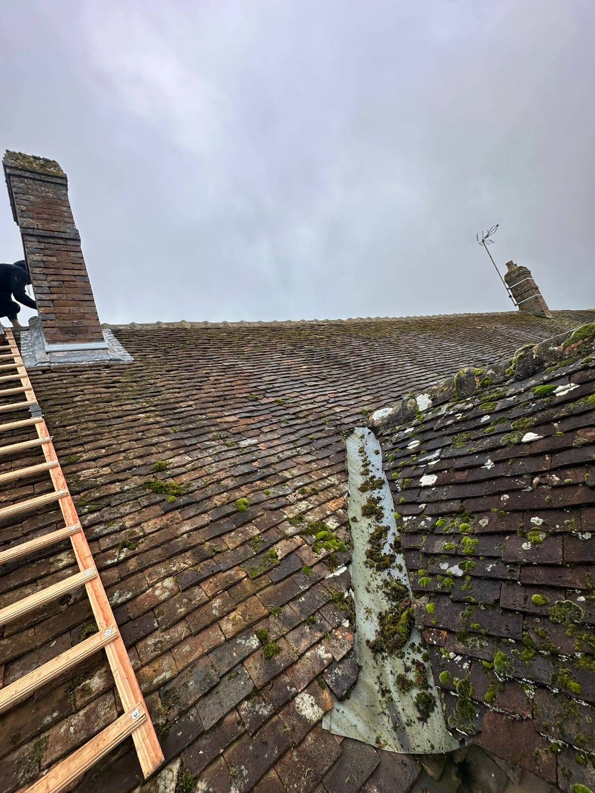 Couvreur pour nettoyage de toiture avec traitement hydrofuge antimousse Gagny 93
